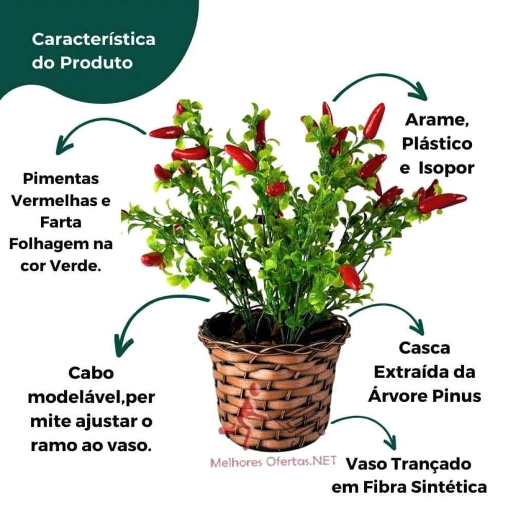 Planta Ornamental Botânica Madeira Para Casa Pimenteira Nobre com Base em Fibra Trançada